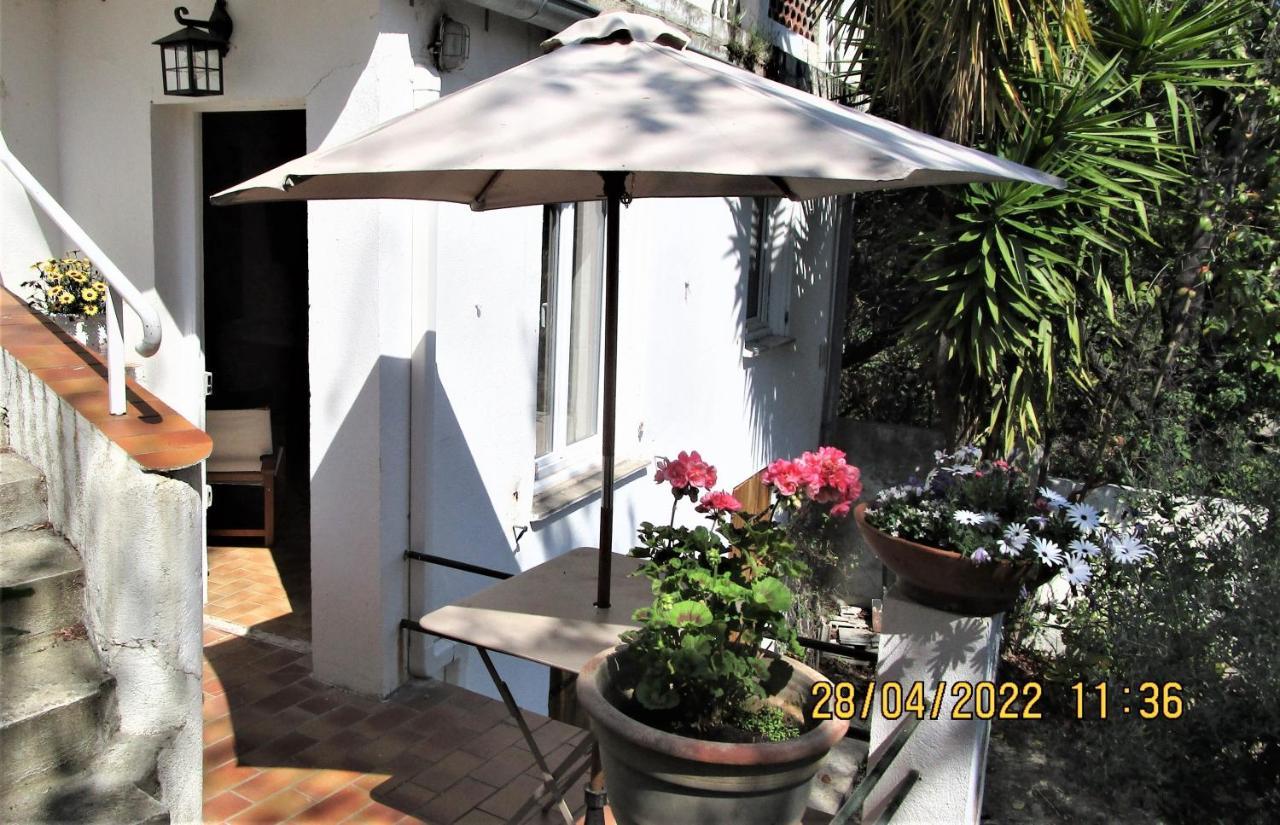 Nice - Studio Independant En Villa - Mer Ville Calme Jardinet Экстерьер фото